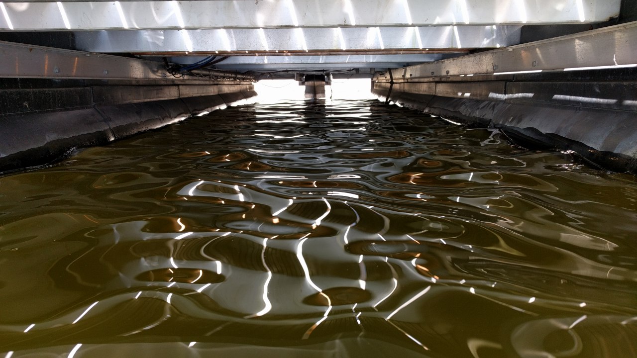 photo_2023-06-02_10-39-51